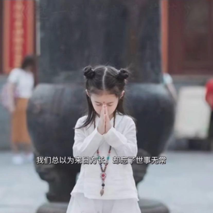 陌上桑（努力版）💪