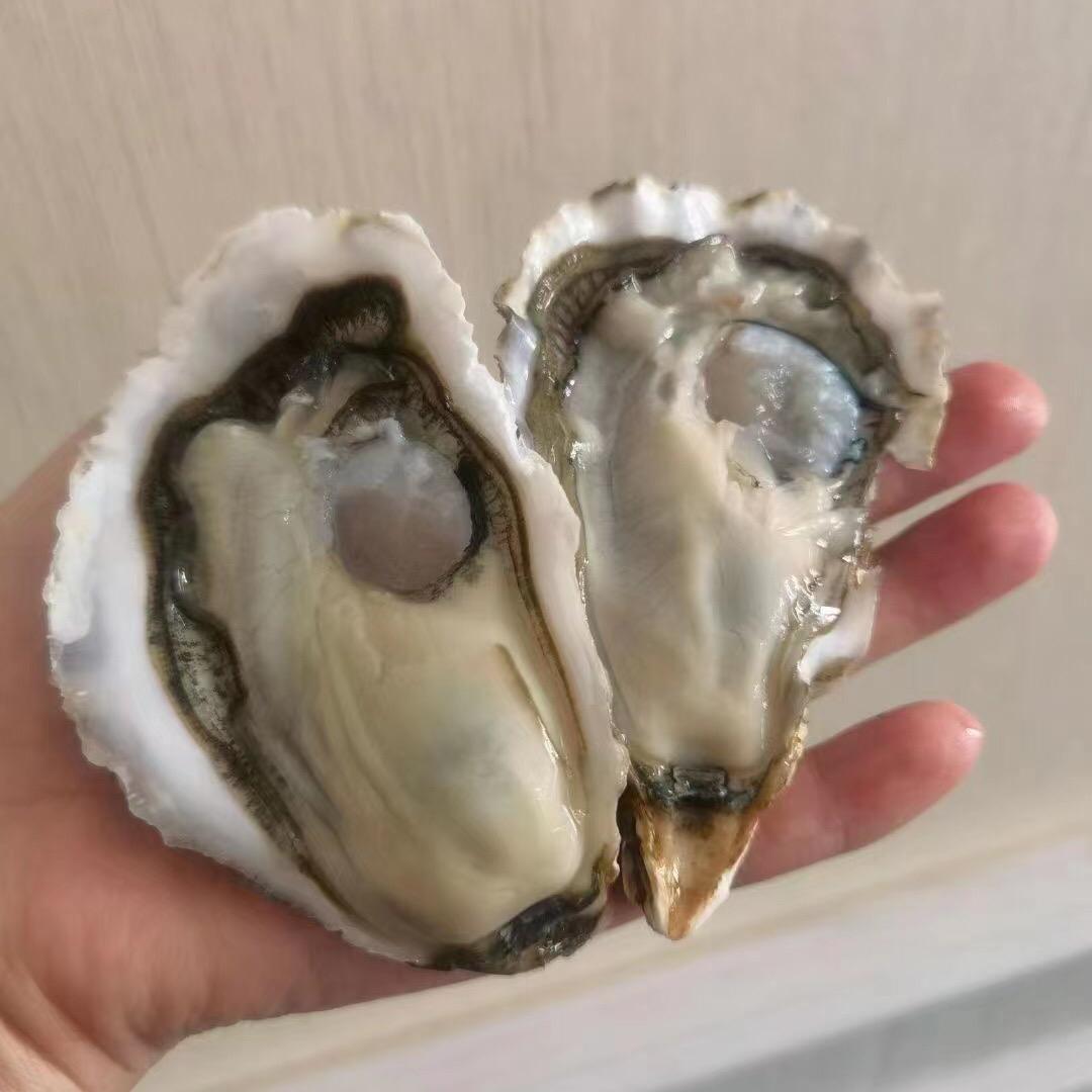 乳山生蚝贵州批发总部