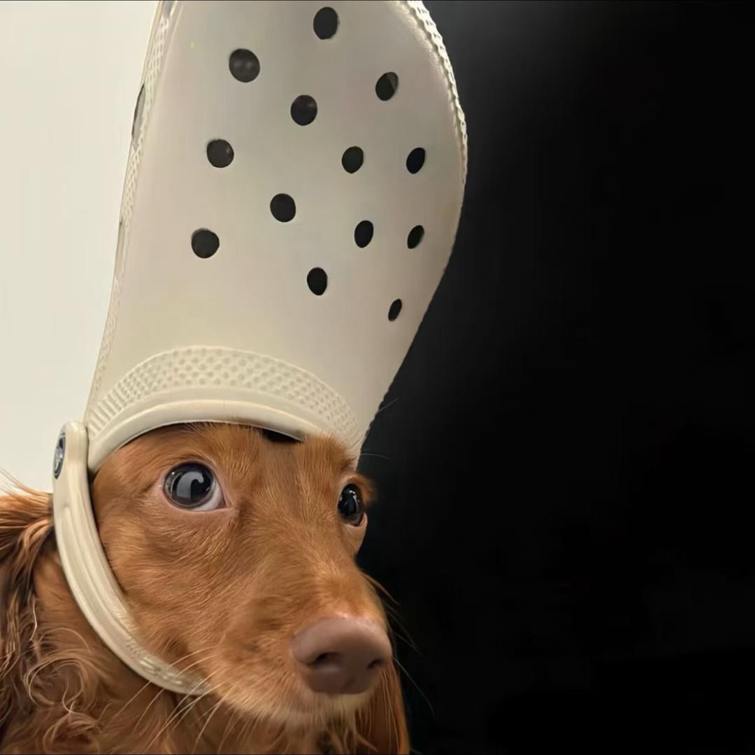 o▬▬▬▬▬▬l▅▅▅▅▅▆▆▇◤40米