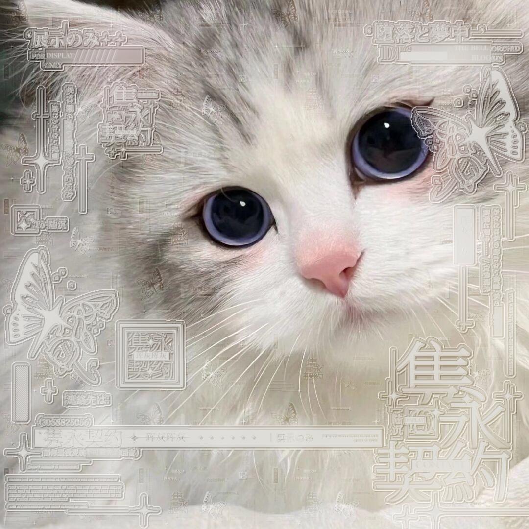珲色鸡蛋饼
