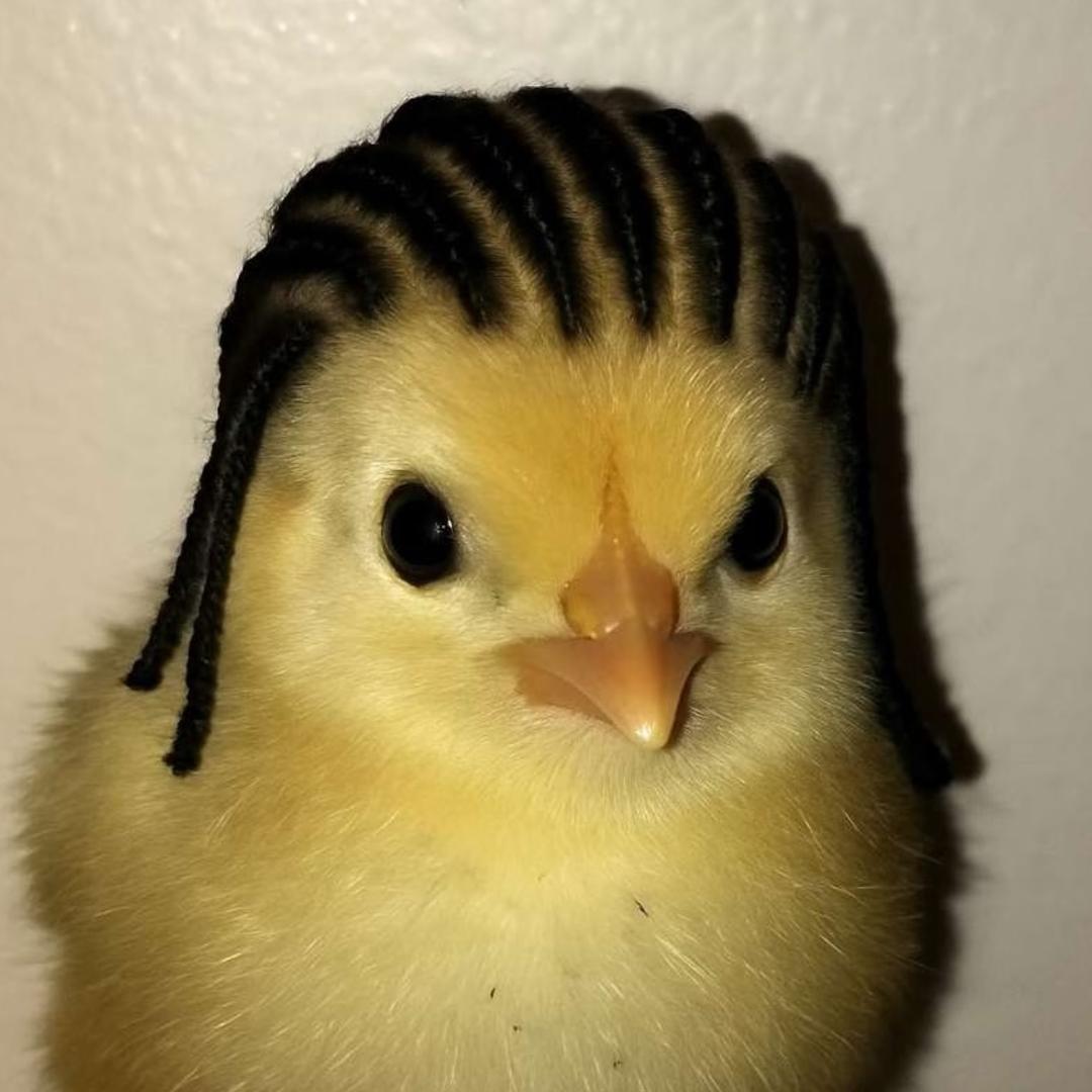 Jouske