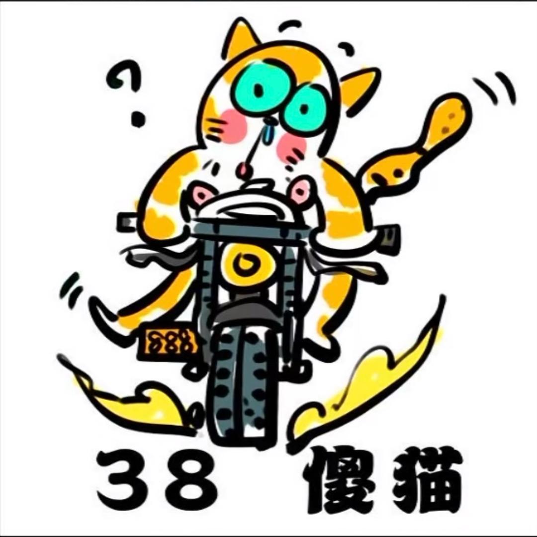 🐱妖猫傻傻