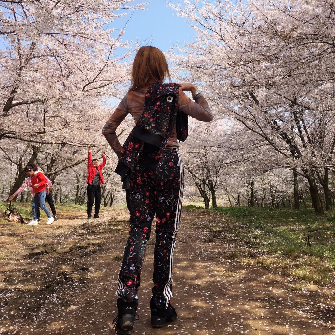 ☂春🌧的记忆☂