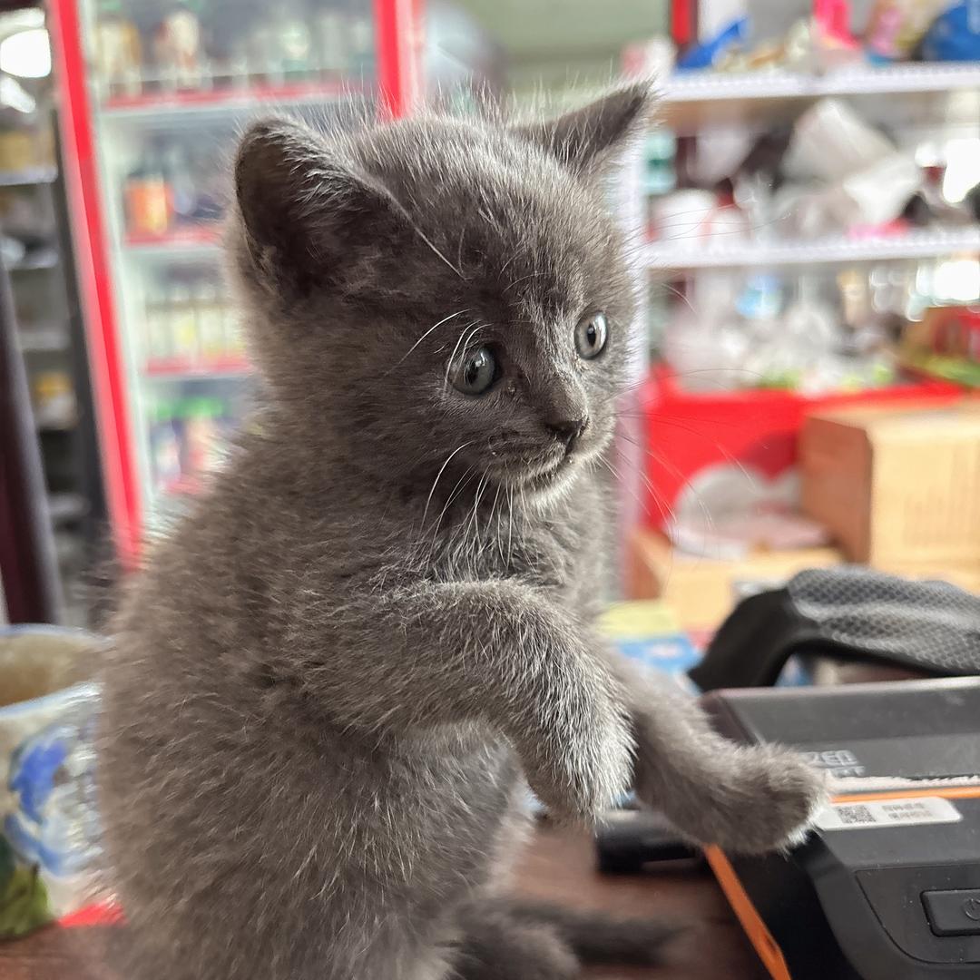 守店日常