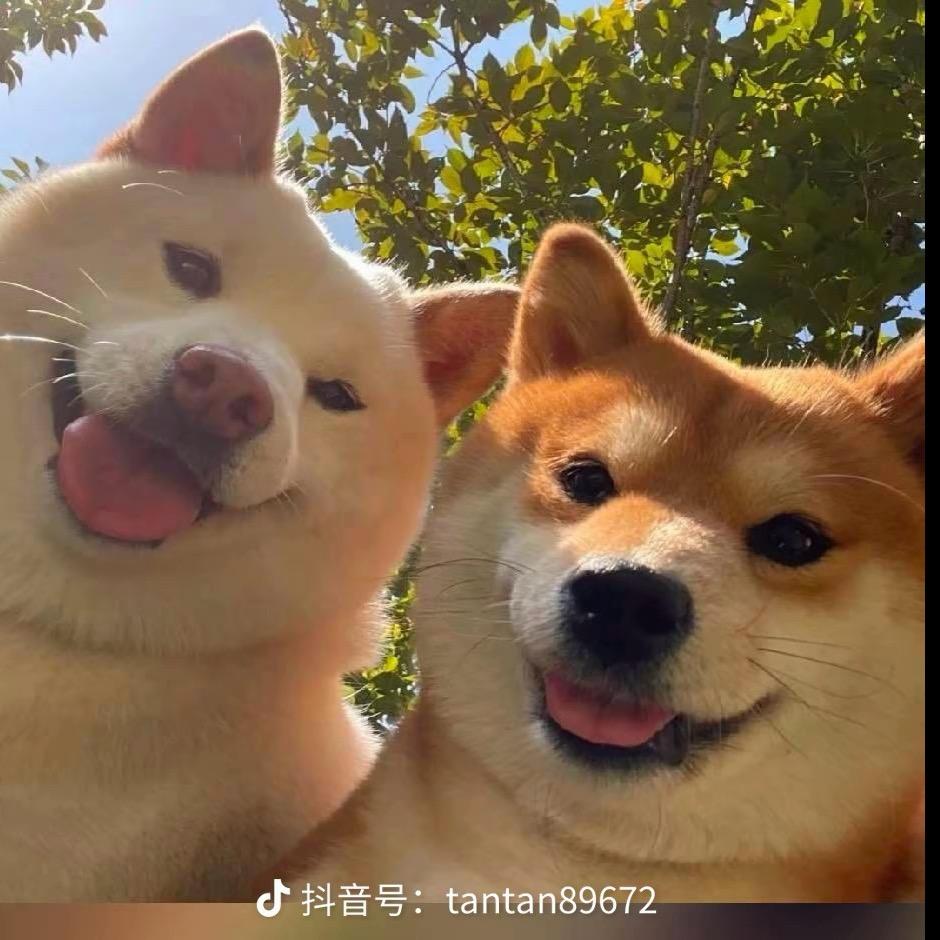 皮卡丘超人