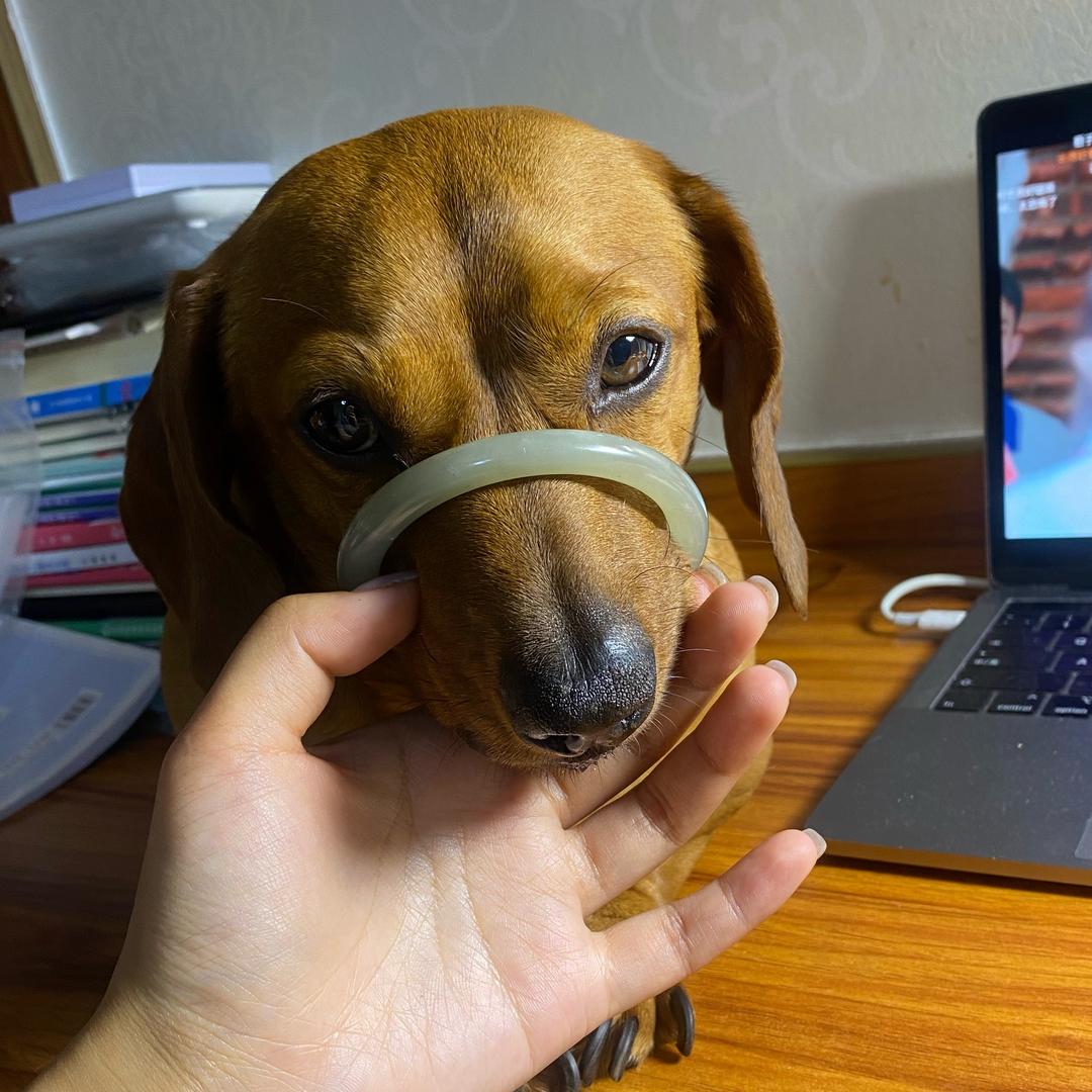 金贝贝！
