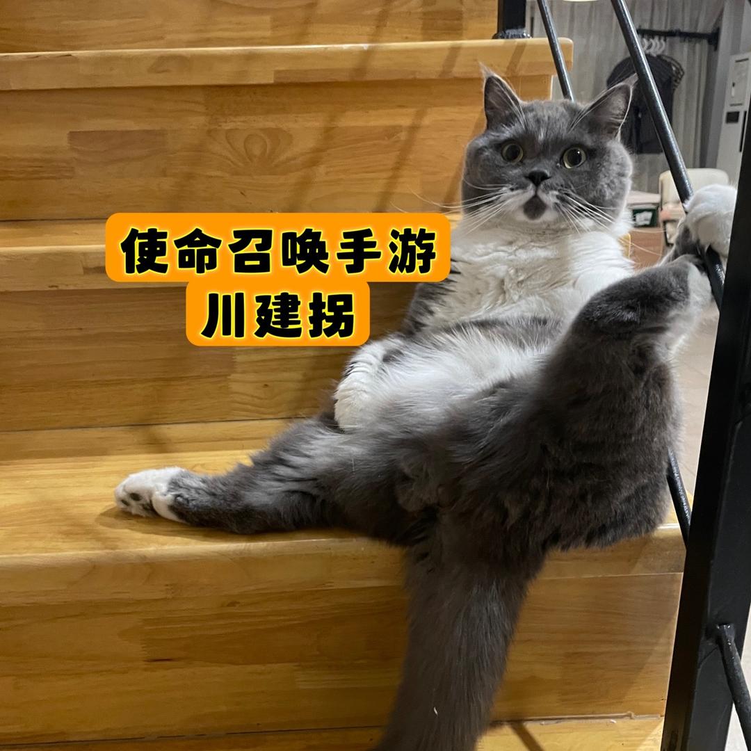 川建拐（使命召唤手游）