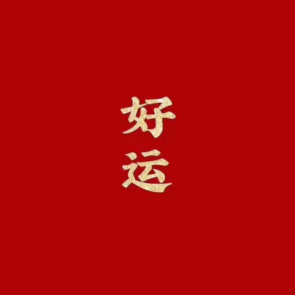 内蒙二毛