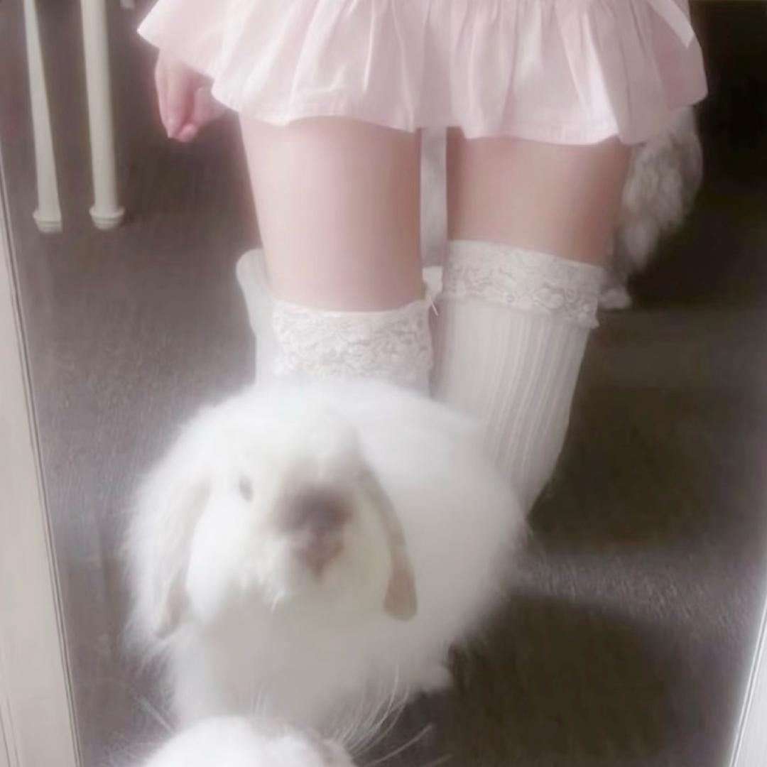 揪揪小耳朵