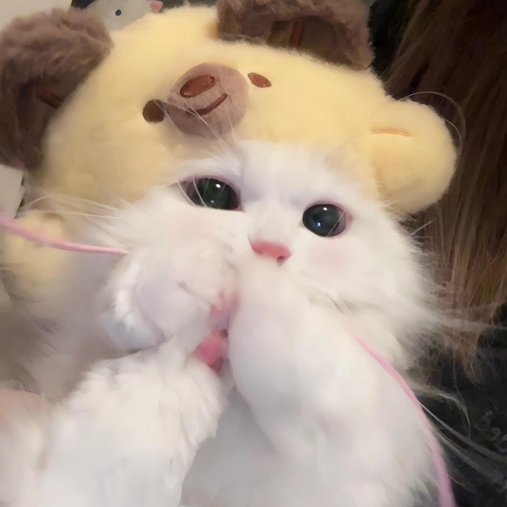 小鱼宝