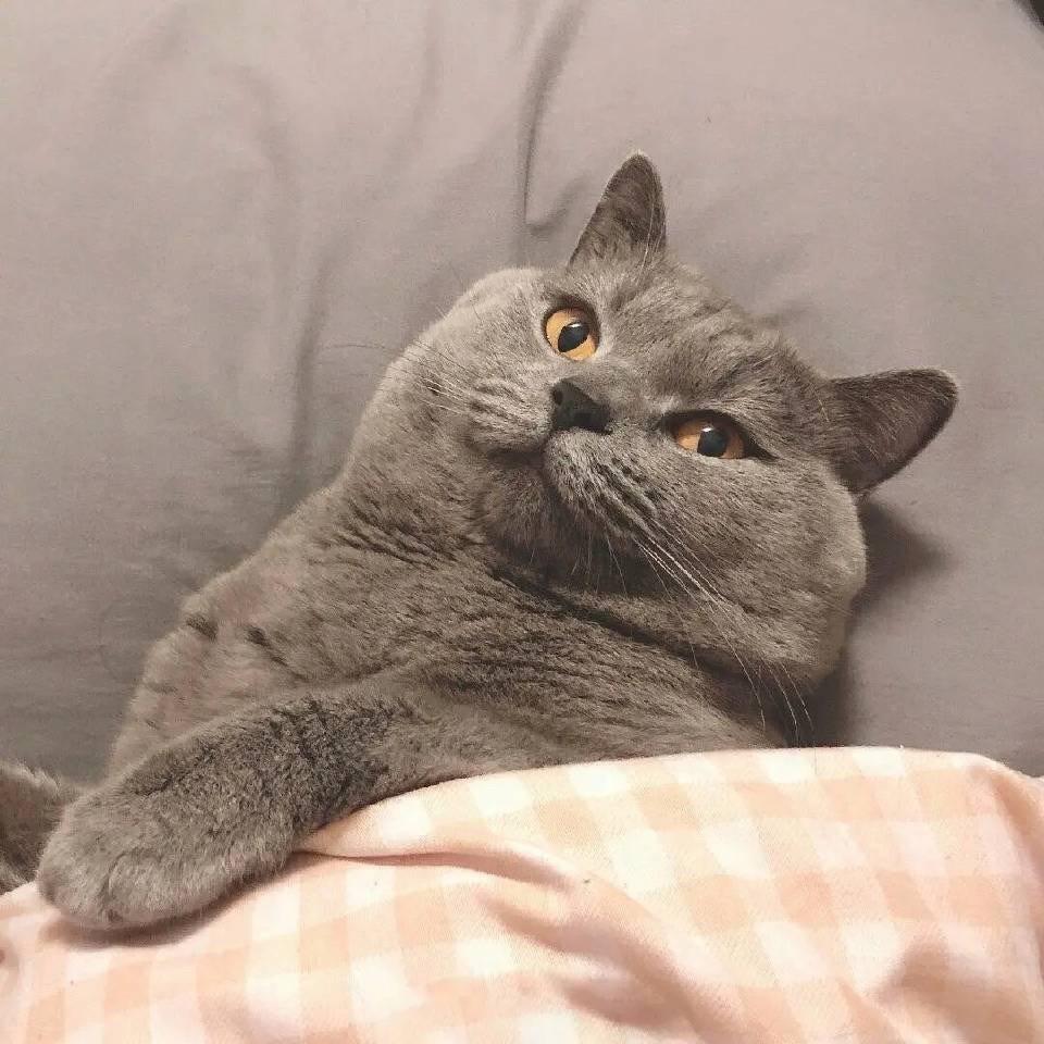 迷惘的青春