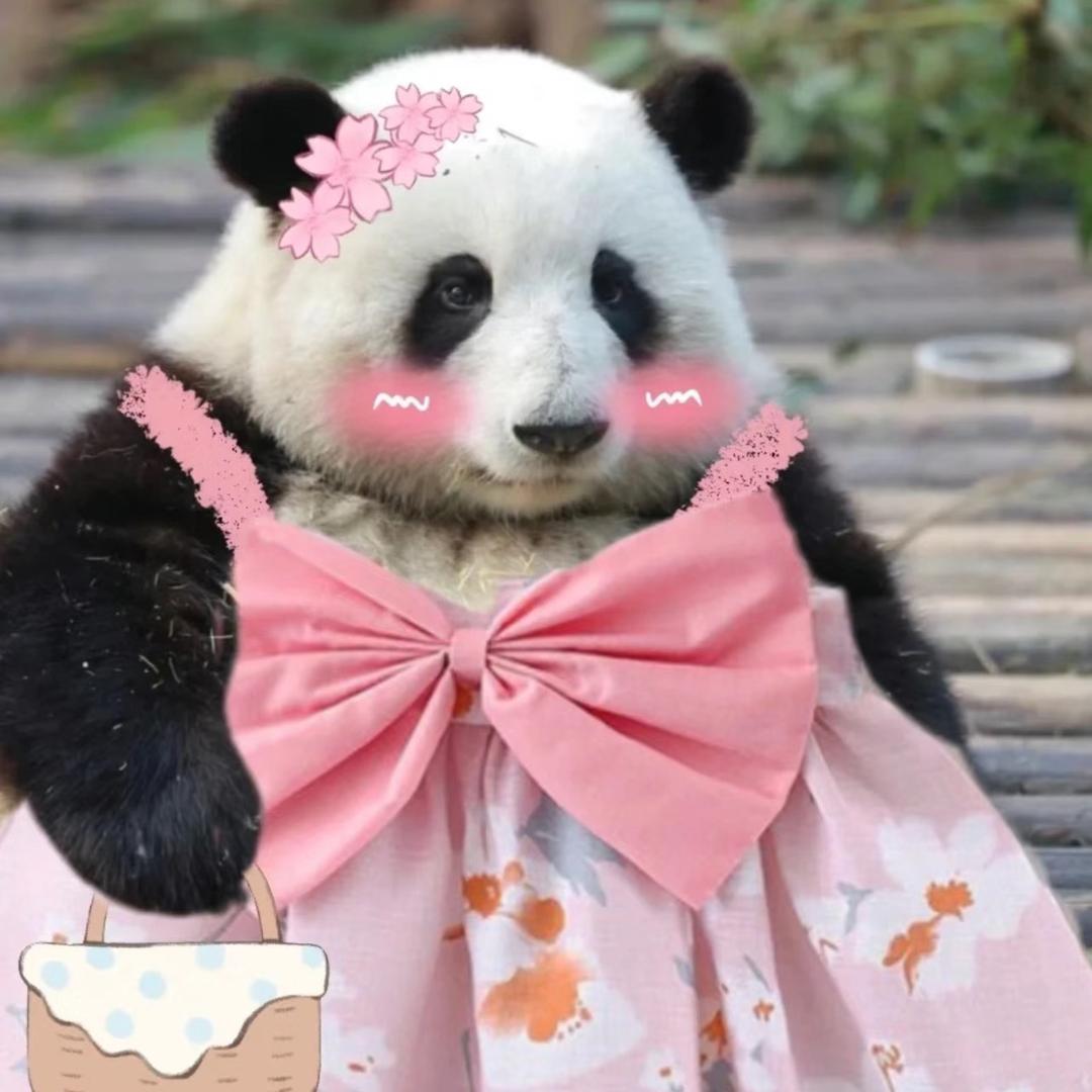 骑着萝卜的兔子💨