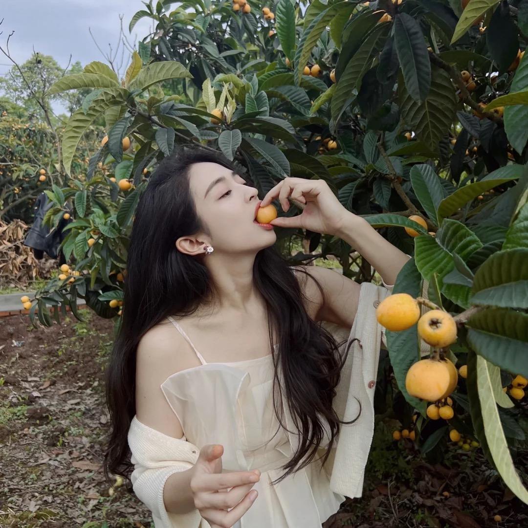 果果香(云霄特产-枇杷干)