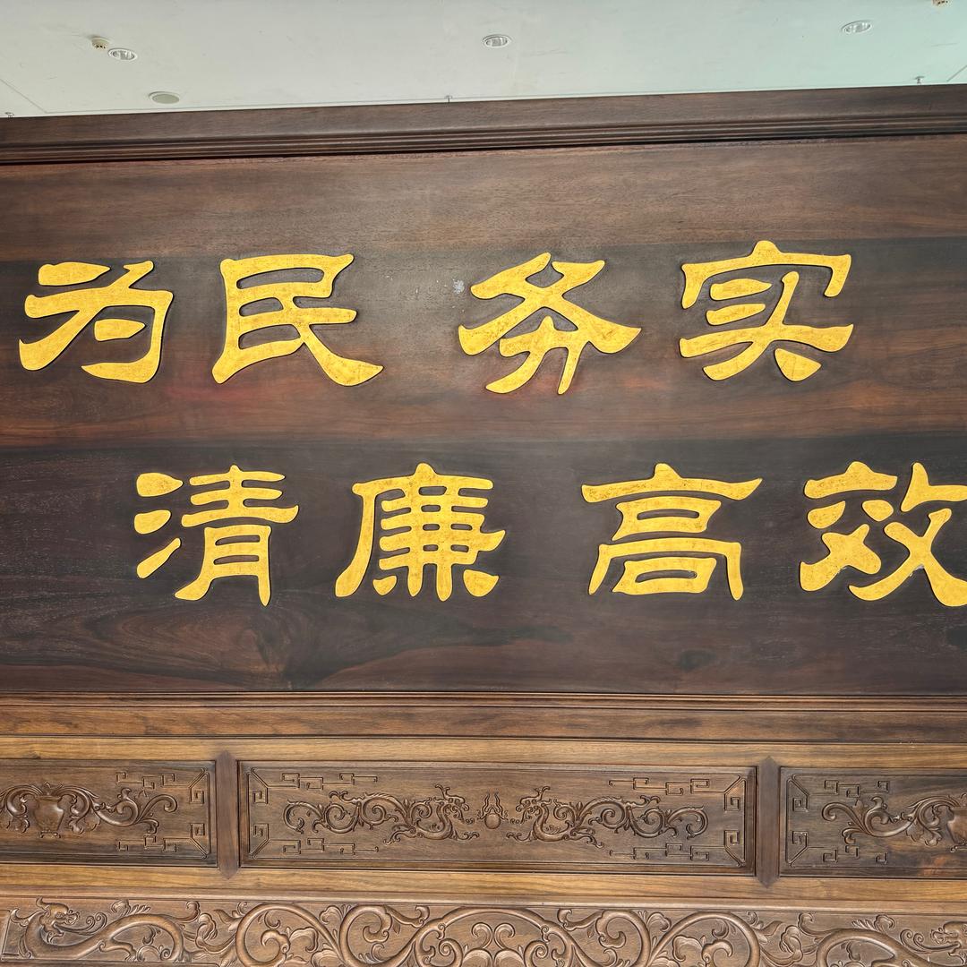 为植物人妈妈的真相而战