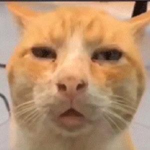 皮皮不怕鬼(恐怖游戏)