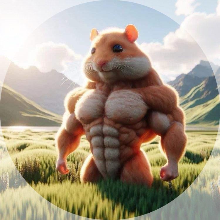 💪腕力淘金鼠🐹