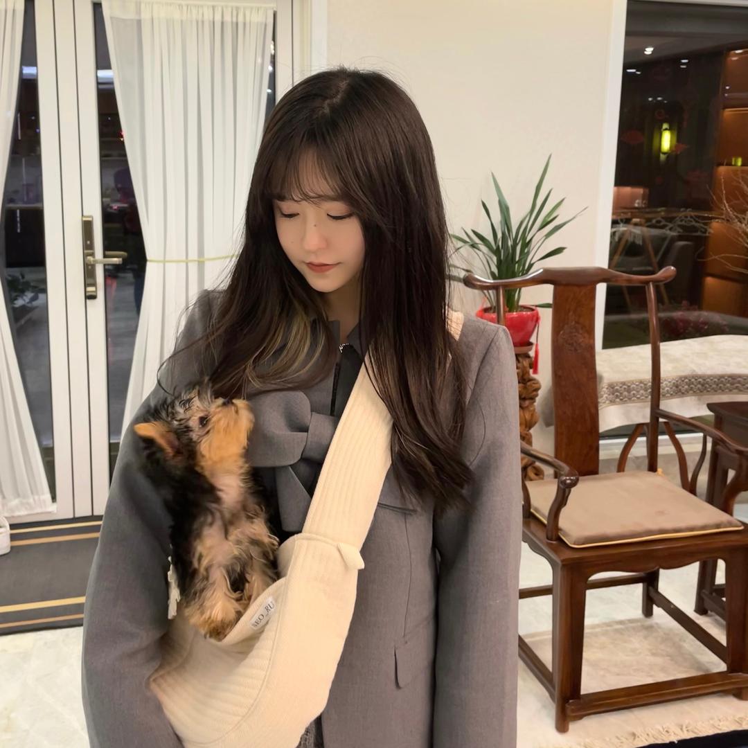 一只小猪仔🐷