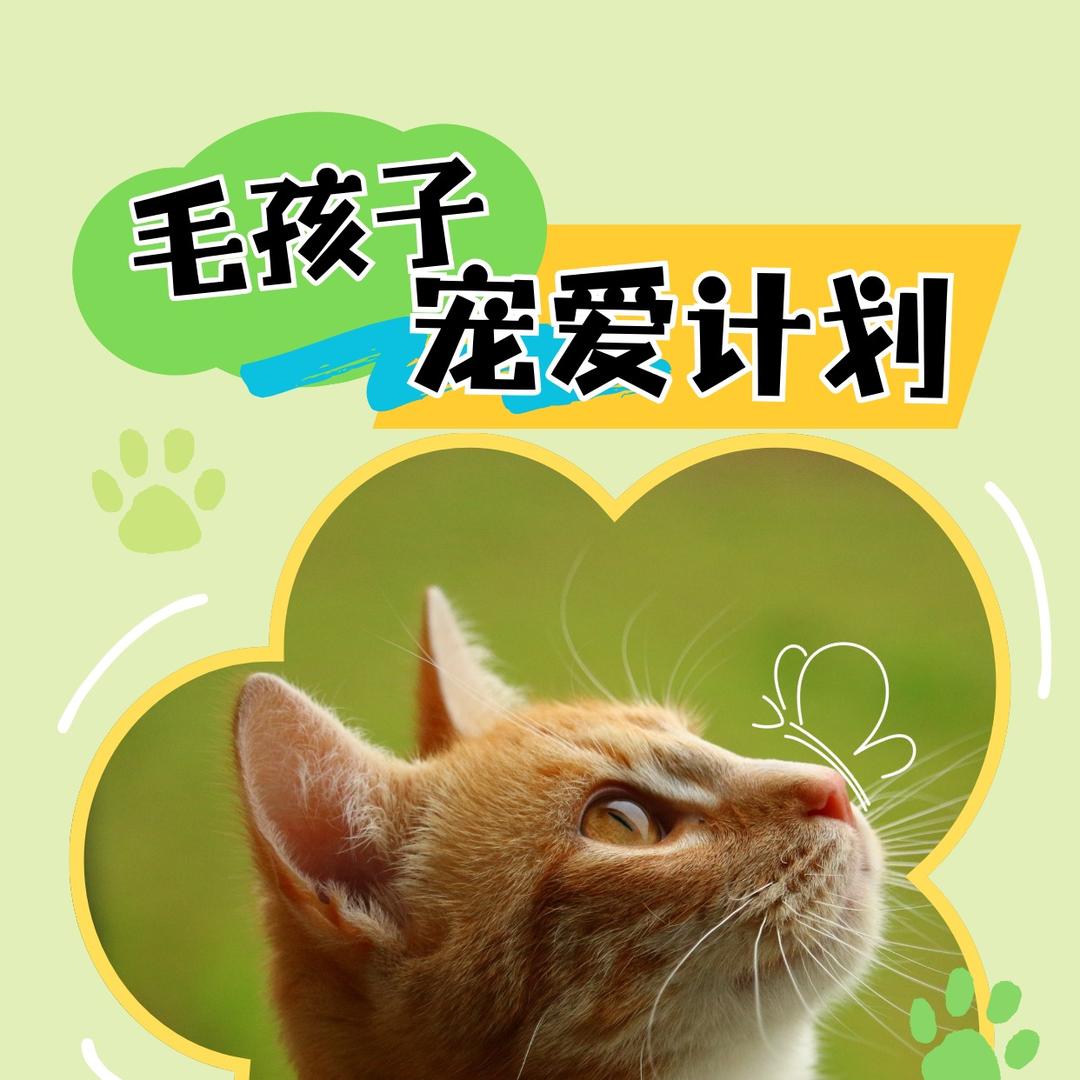 邹老师宠物指南