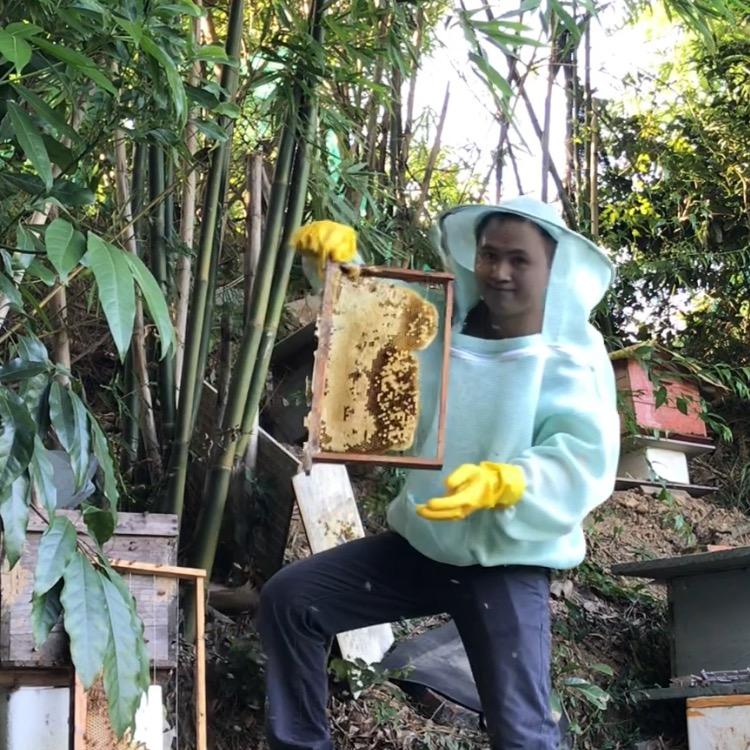 蜜蜂守护神Wesley