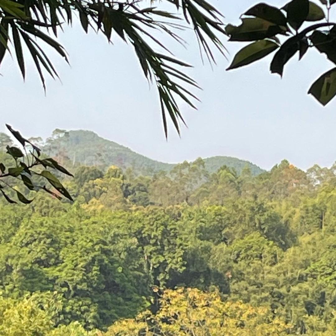 易学基础知识文化