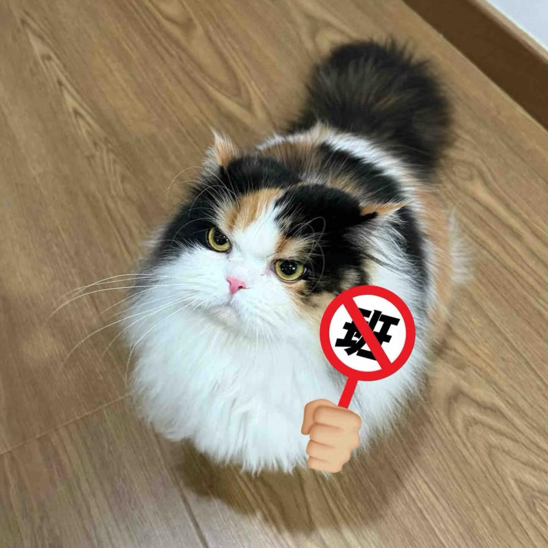 你猜