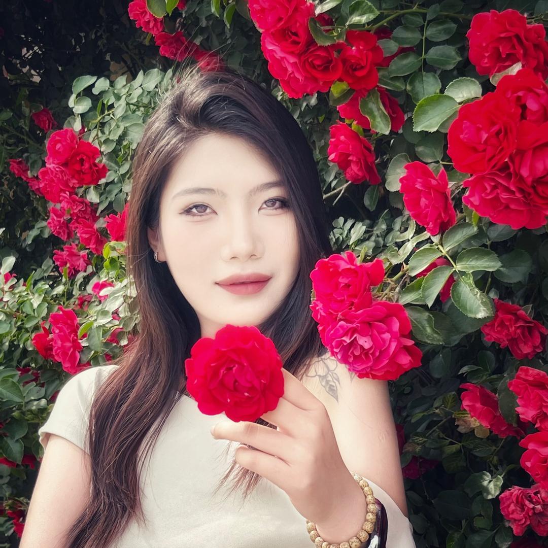 鑫鑫的鲜花