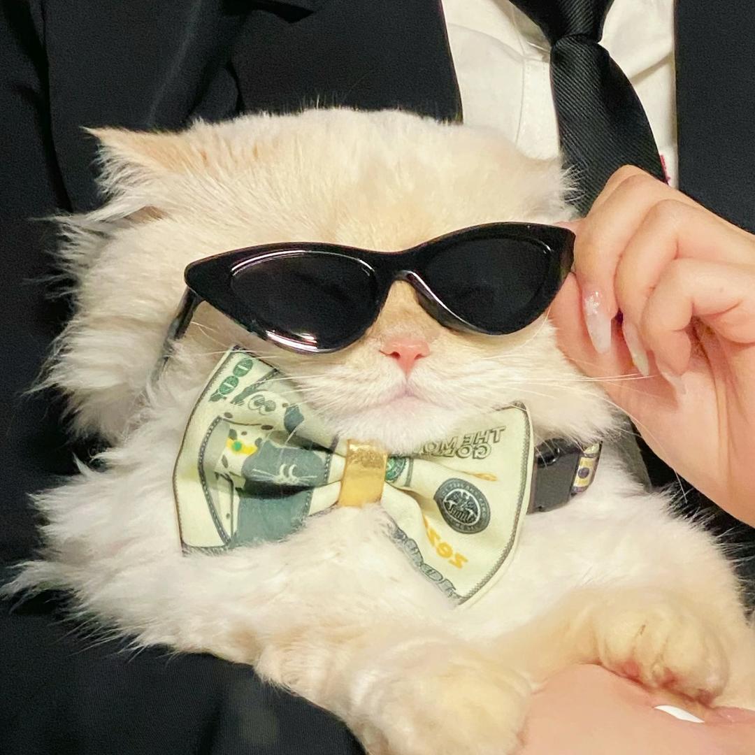 一淼