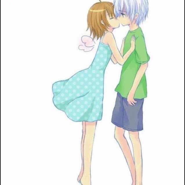 失去身体的奶酪