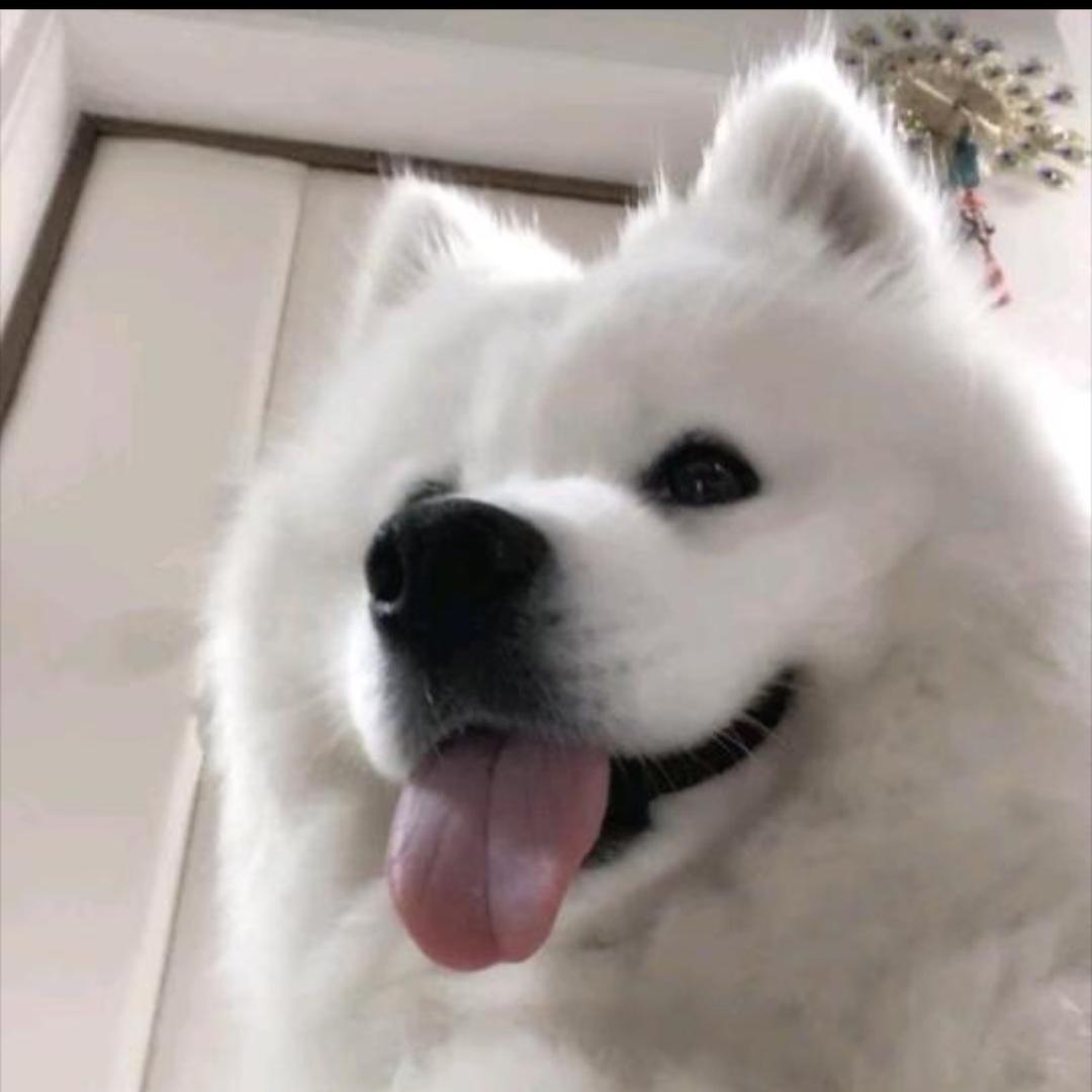 111