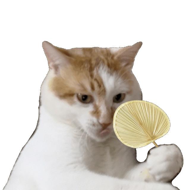 卖日产的小林