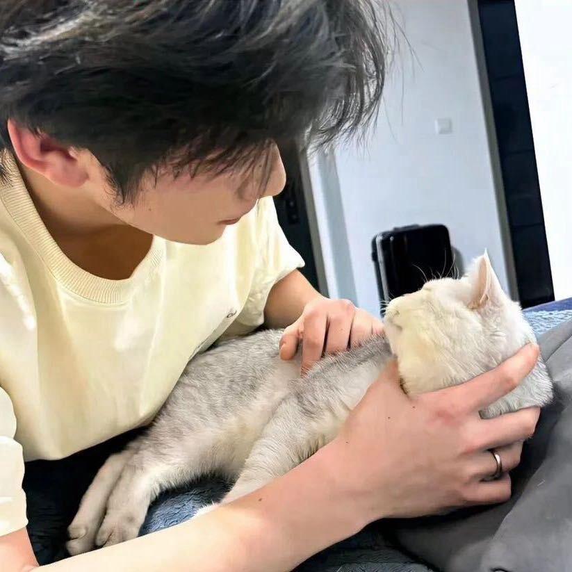 Q谭小丸子(三金)