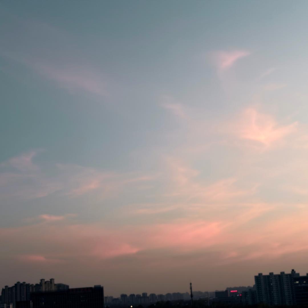 木木大王带点绿