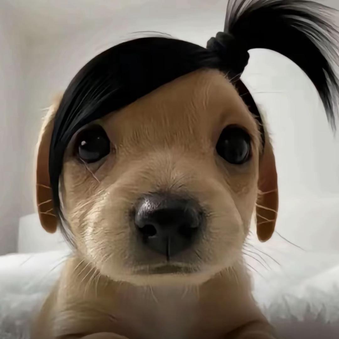 凌晨看星星