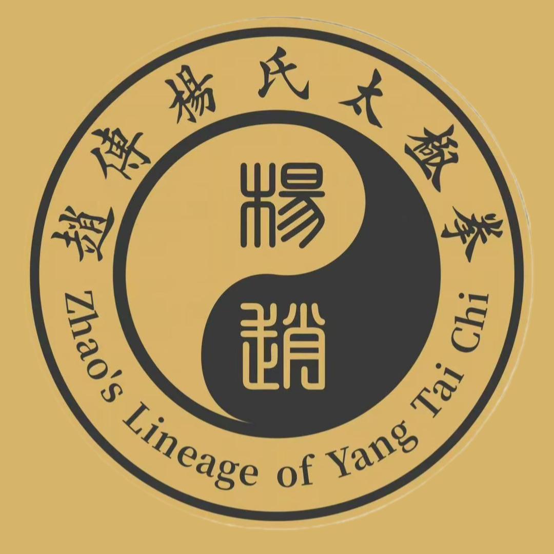 赵传杨氏太极拳