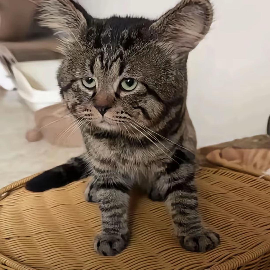 周先森🍀