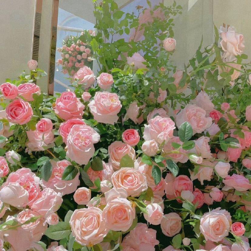 妞～赞赞💕