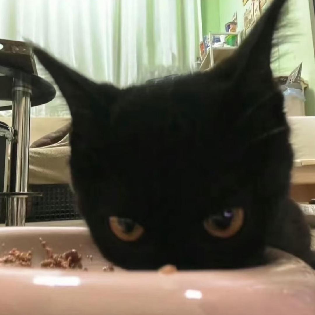 杀猪杀到抑郁