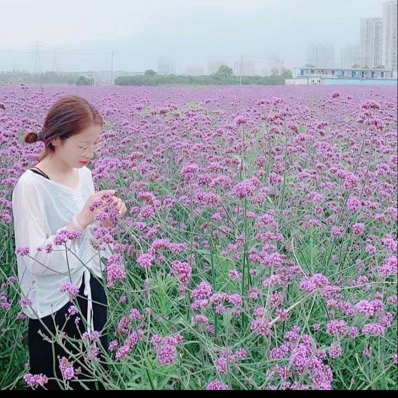 叫我大梦吖