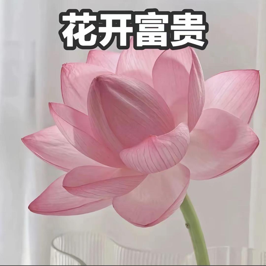 我的小号🥯