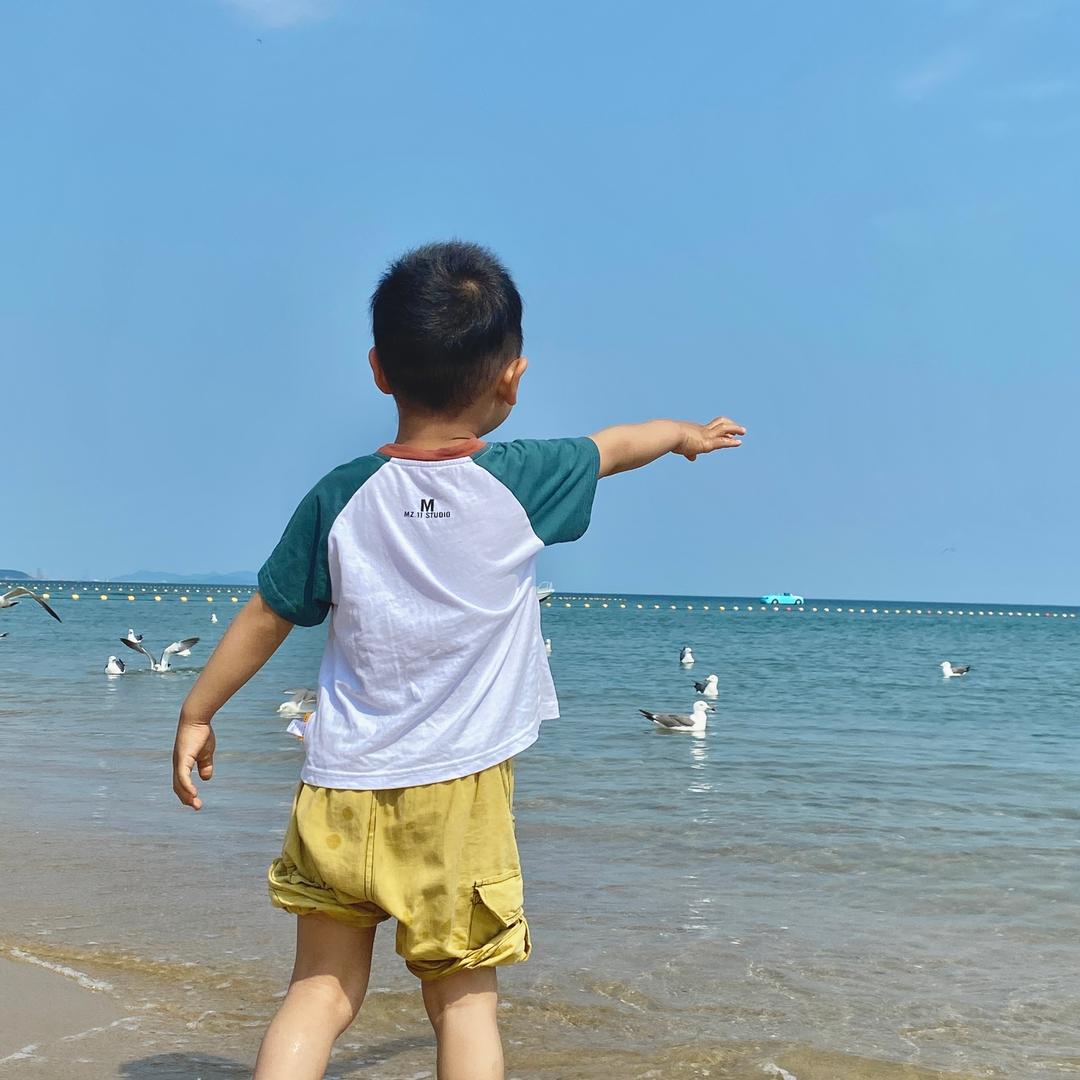 教语文的灿宝妈