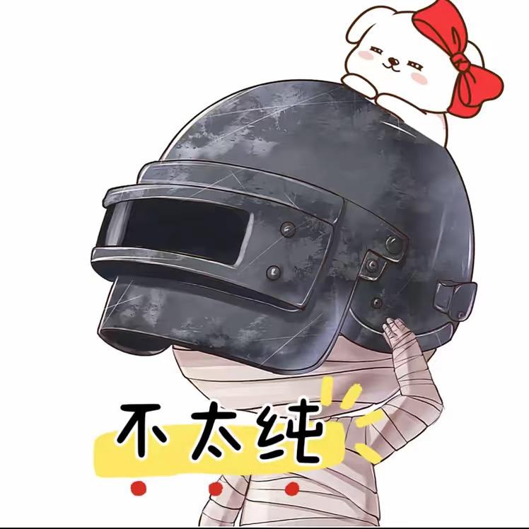 纯纯游戏解说