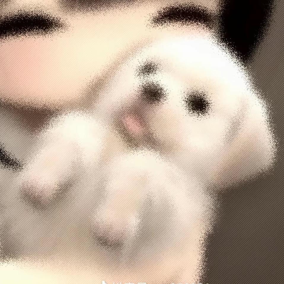李亮-