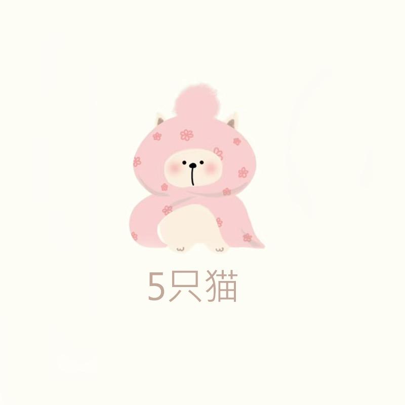 5只猫睡衣