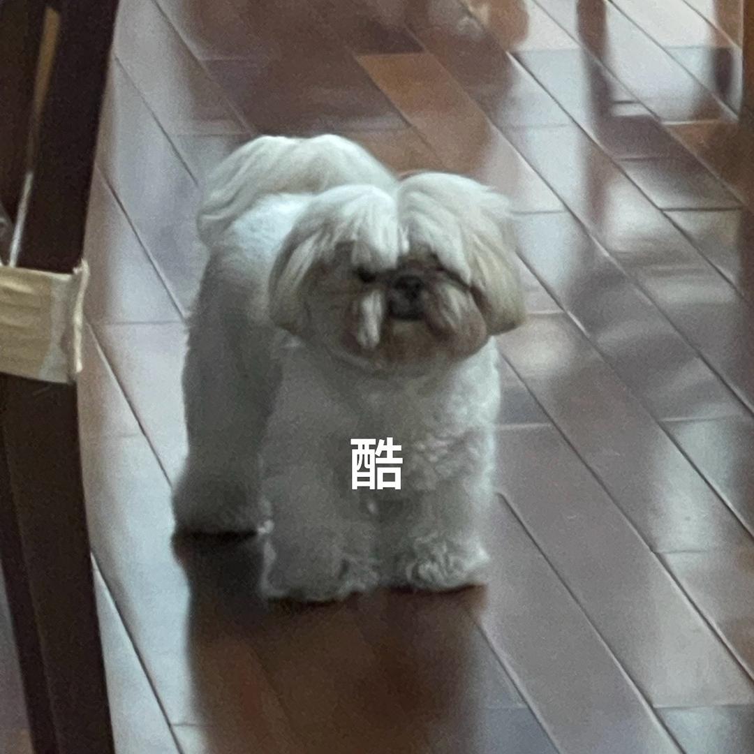 岑天栩