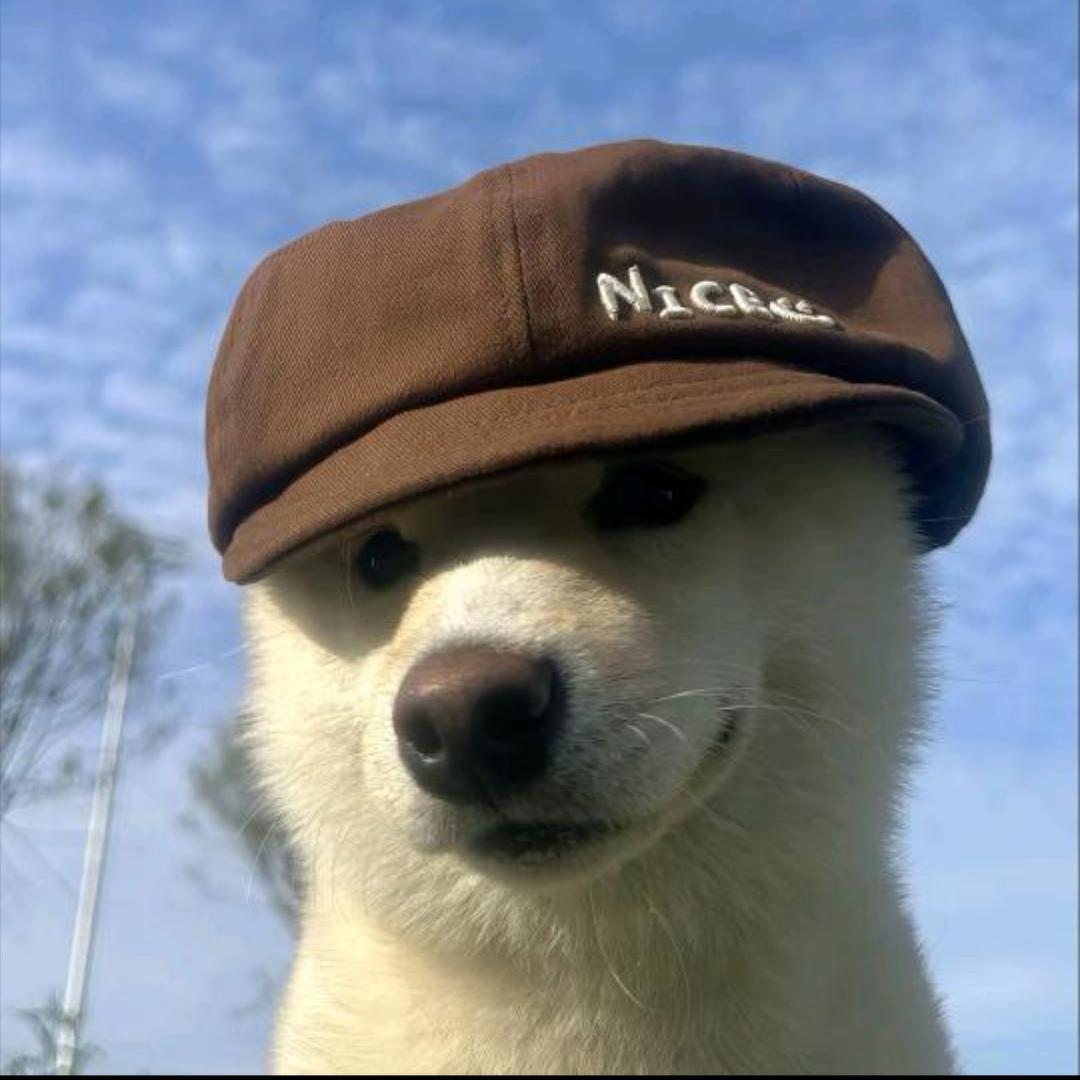 开心宵宵乐🍟
