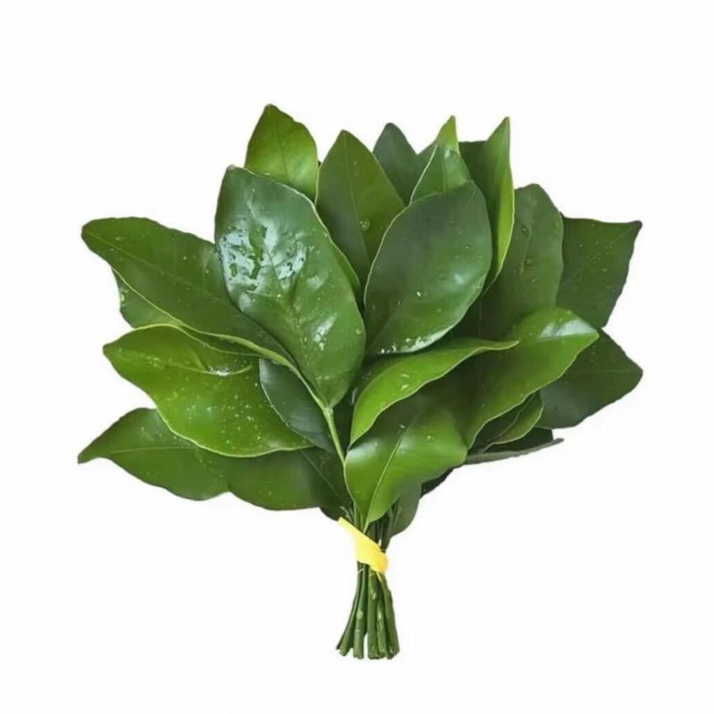 悲伤的烤土豆🥔