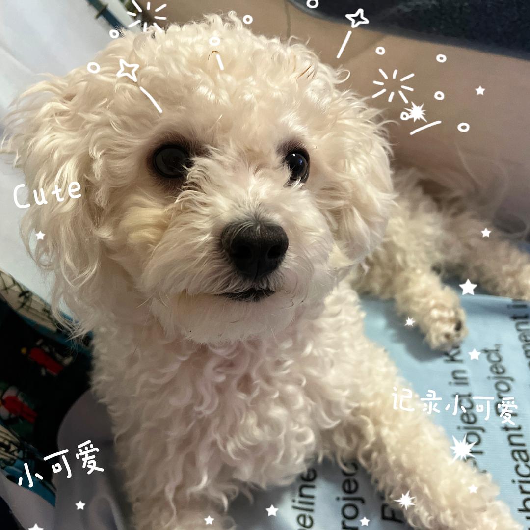 圆圆不太圆