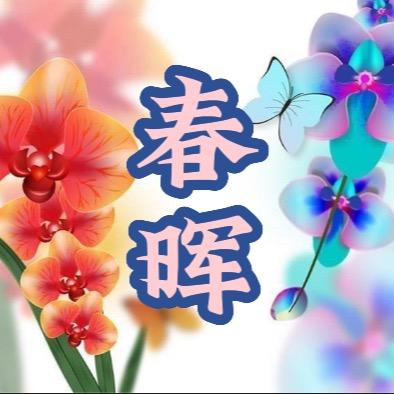 春晖精品蝴蝶兰