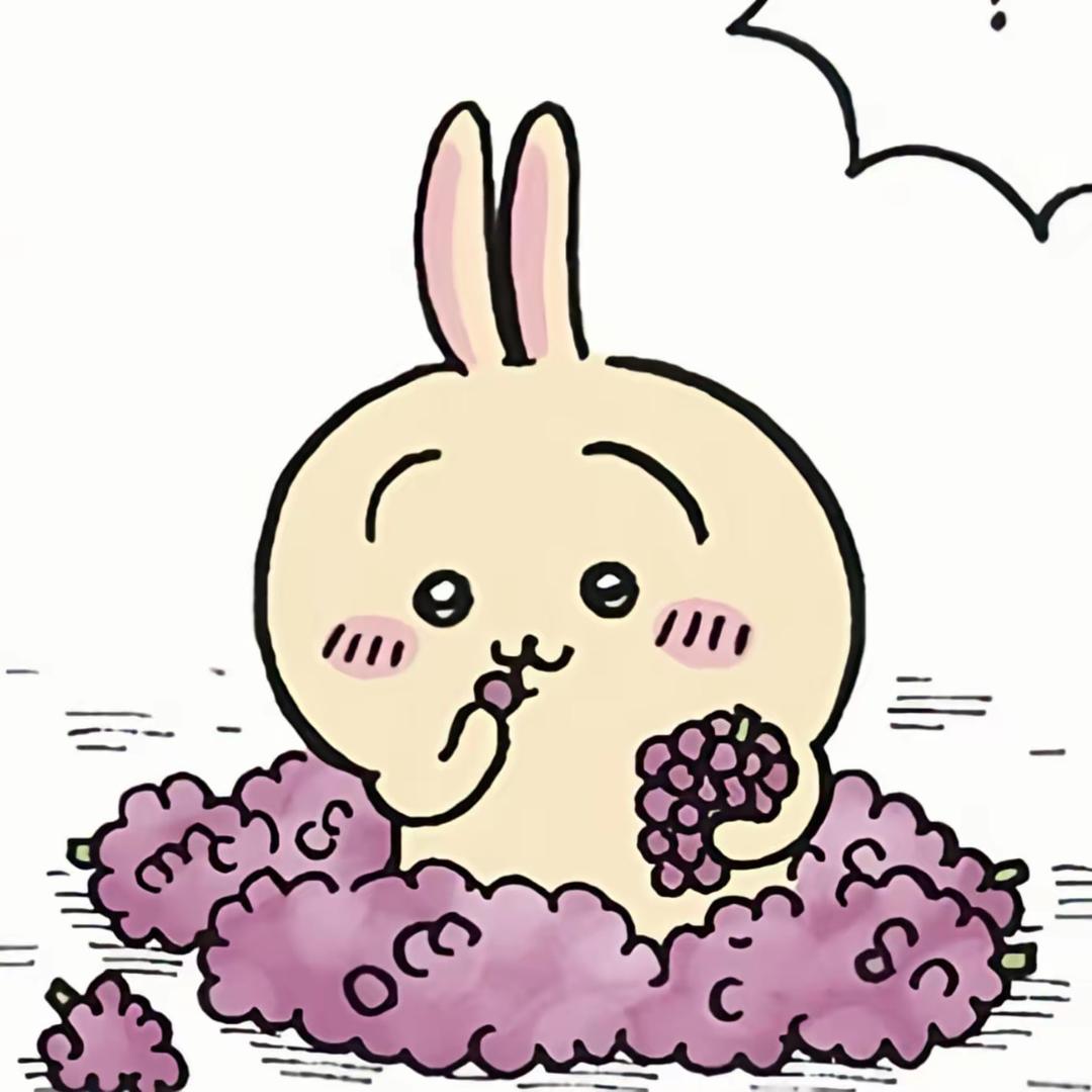 雾灯🔴🔵（无畏契约）