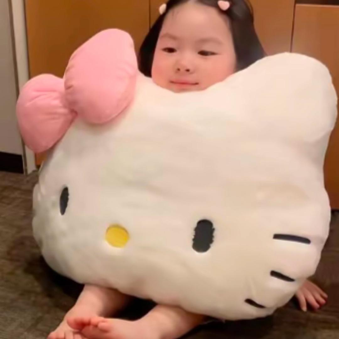🐈